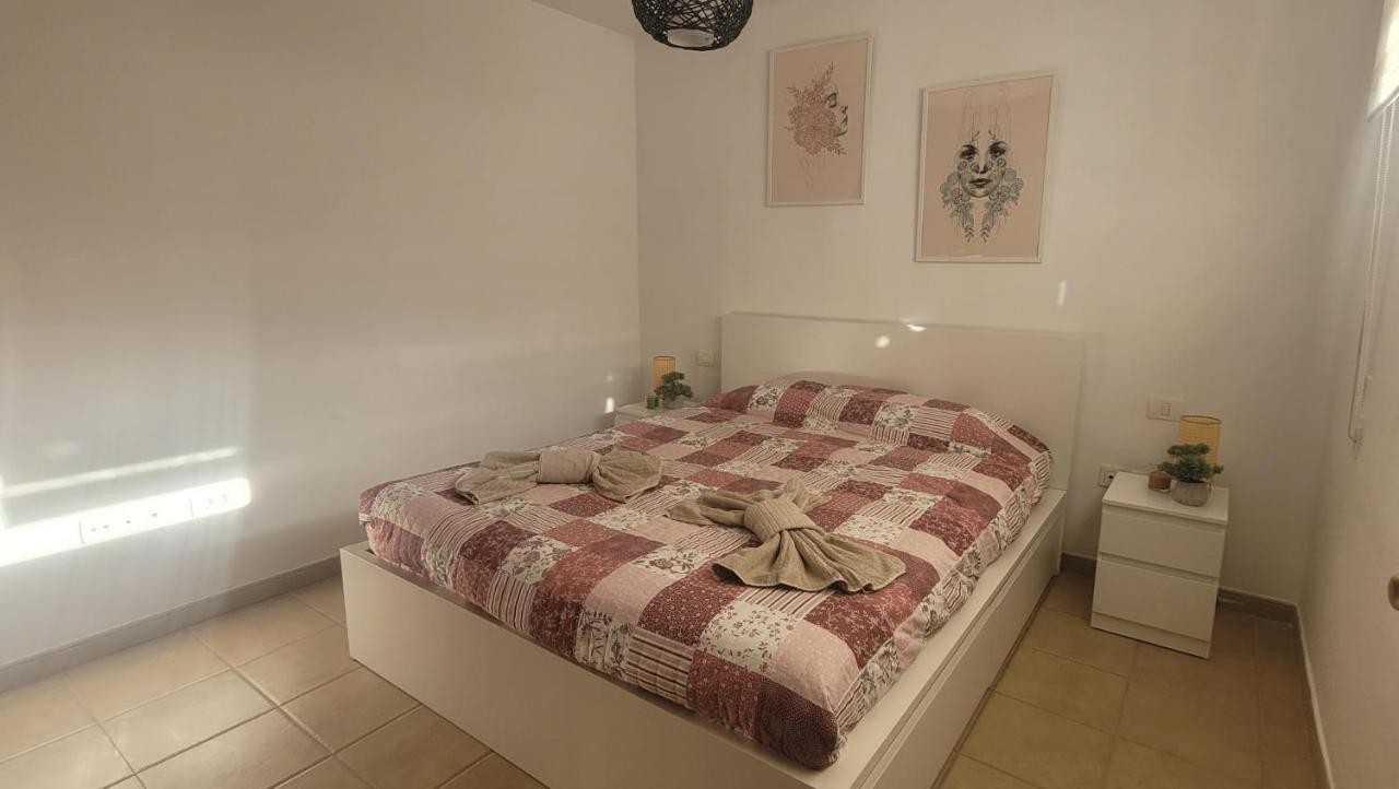 Discover The North Of The Island Of Tenerife La Laguna  Exterior photo