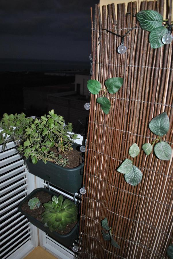 Discover The North Of The Island Of Tenerife La Laguna  Exterior photo